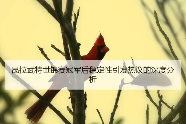 昆拉武特世锦赛冠军后稳定性引发热议的深度分析